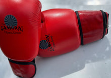  Sparring Gloves